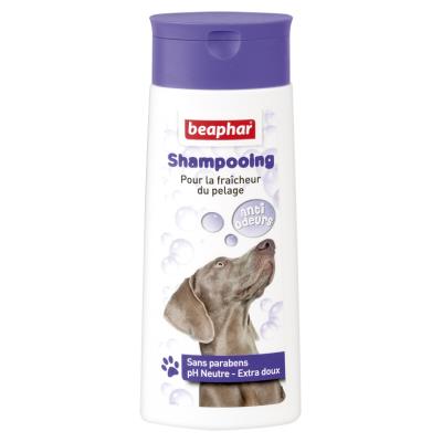 Shampooing bulles anti-odeurs : pour la fraîcheur