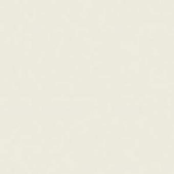 Ramette de 500 feuilles papier couleur TROPHEE 80 grammes format A3 gris perle - 1