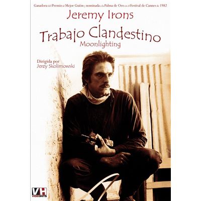 Travail au noir (1982) / Moonlighting