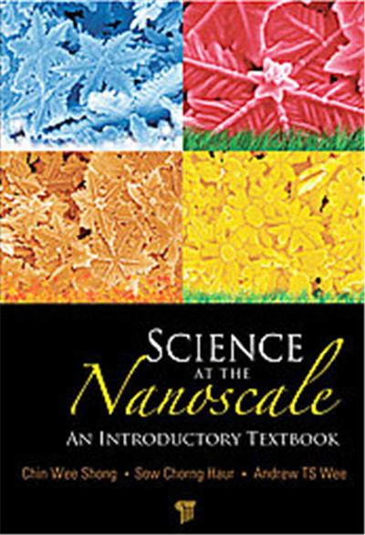 Science at the Nanoscale