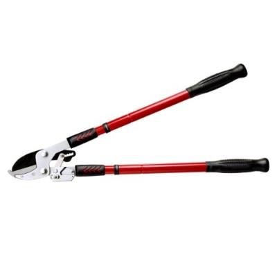 Connex Flor70420 Coupe Branche Télescopique À Cliquet 70 À 99 Cm