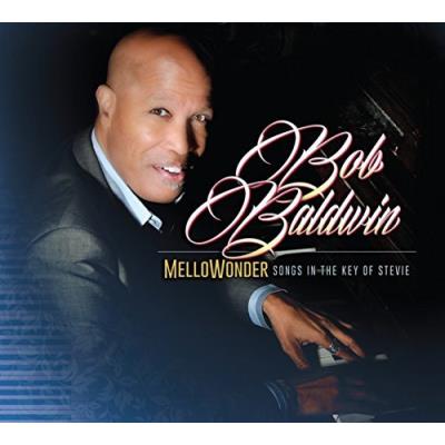 Mellowonder / Songs In The Key Of Stevie