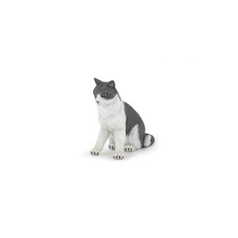 Chatte assise - 1