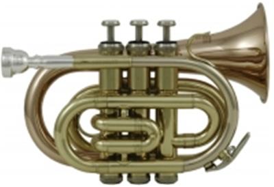 Roy Benson Student Series Trompette de poche Sib PT-101G
