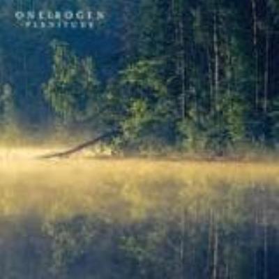 Plenitude - Oneirogen
