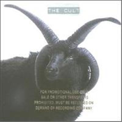 The Cult