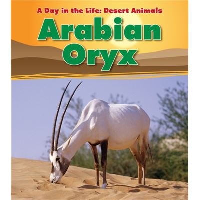 Arabian Oryx (A Day In The Life: Desert Animals) (Paperback)