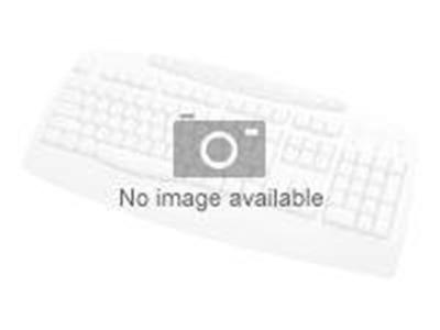 HPE BFR with PVC Free Kit - toetsenbord en muis set - US
