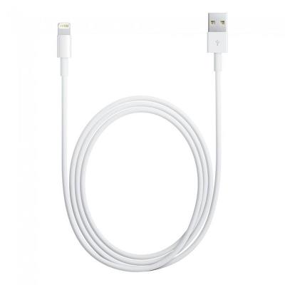 Cable Lightning-USB iPhone SE compatible APPLE 1M - Câble téléphone  portable - Achat & prix