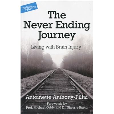 The Never Ending Journey (Paperback)