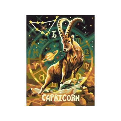 les signes astrologiques - Capricorne