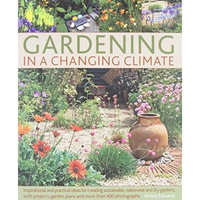 The Sun-drenched Garden