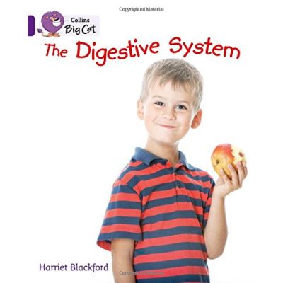 The Digestive System: Band 08/Purple (Collins Big Cat)