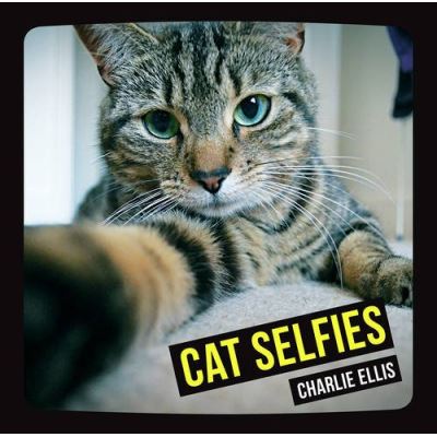 Cat Selfies Charlie Ellis