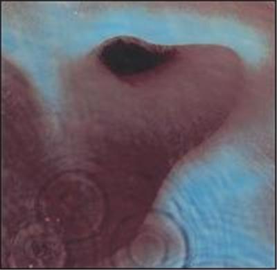 Meddle