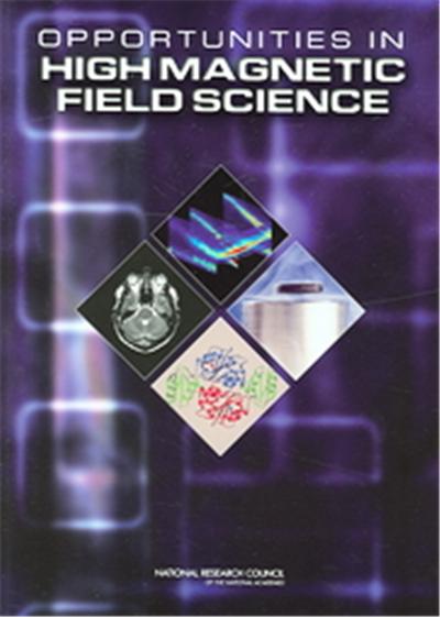 Opportunities in High Magnetic Field Science