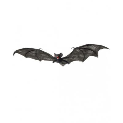 Chauve souris grandes ailes