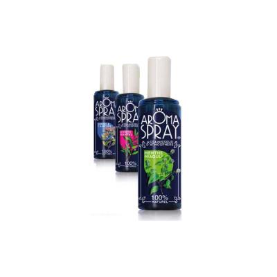 Huiles essentielles aromaspray saint come 100ml - melaleuca ravintsara