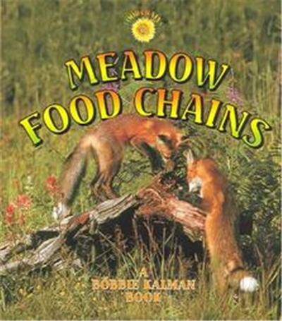 Meadow Food Chains, Food Chains