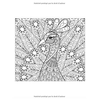 Mandala Animaux Livre Coloriage Adulte: Mandalas A Colorier Adulte Anti  Stress Des Animaux Incroyables Pour La Relaxation Des Adultes - Dessins  Soulag (Paperback)