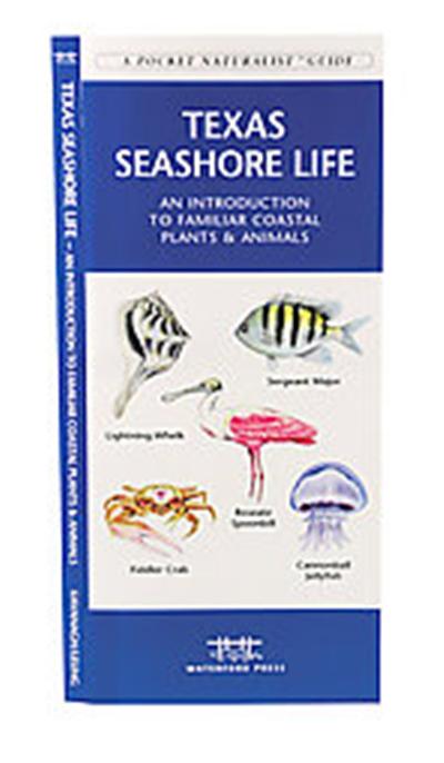 Texas Seashore Life, A   Pocket Naturlaist Guide