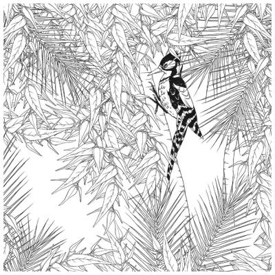 Clairefontaine Carnet De Coloriage Pour Adultes 20x20cm Modèle Oiseaux