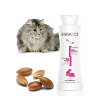 Shampooing naturel pour chat et chaton