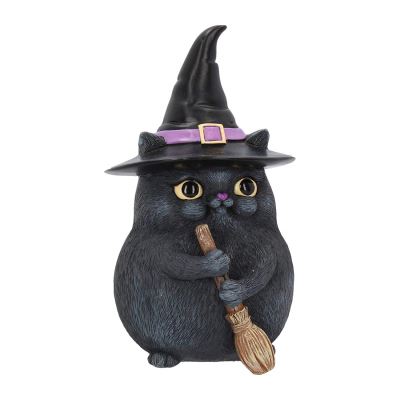 Chat noir chat chanceux