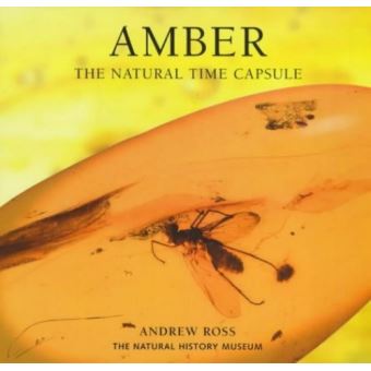 Amber - The Natural Time Capsule - Paperback - 1998 - 1