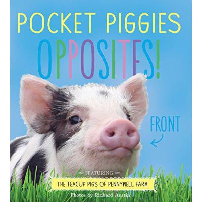 Pocket Piggies: Opposites! - [Version Originale]