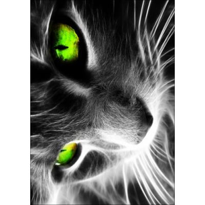 Cadre Déco En Plexiglas 297cm X 42cm épais 3mm Chat Noir Et Blanc Yeux Vert