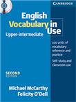 English Vocabulary in Use Upper-intermediate - 1
