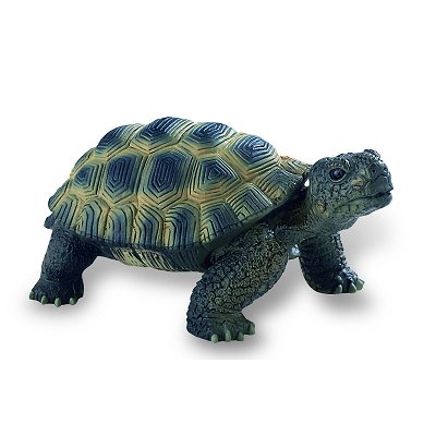 Tortue de terre - deluxe