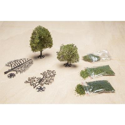 PREMIUM Platane au printemps