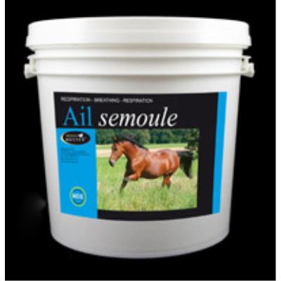 Meilleurs prix pour Horse master - ail semoule - 1 kg