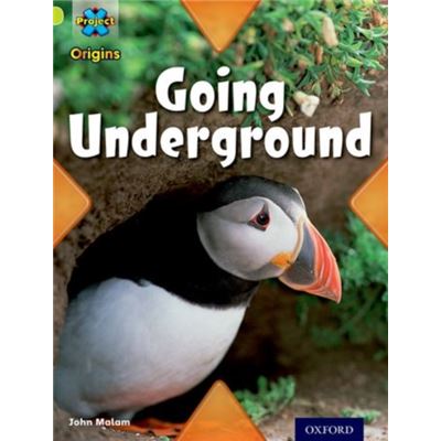 Project X Origins: Lime Book Band, Oxford Level 11: Underground: Going Underground (Paperback)