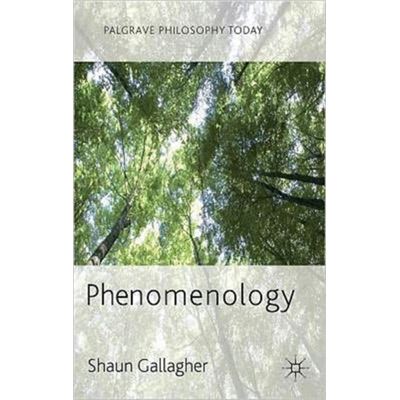 Phenomenology (Palgrave Philosophy Today) (Paperback)