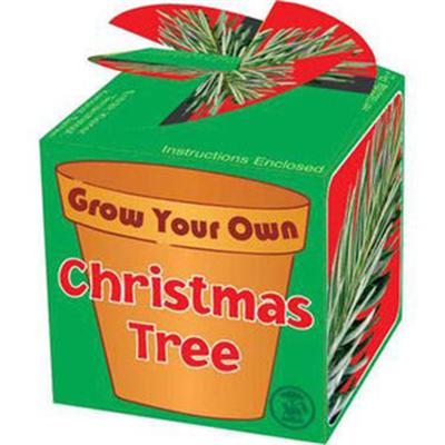 Mini Sapin De Noël