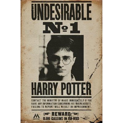 Poster Harry Potter + un joli emballage cadeau