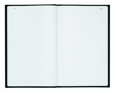 Registre Exacompta 29,7x21cm 5x5cm 300p folioté