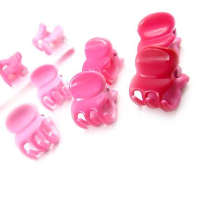 Set de 12 mini pinces 'Simplicité' rose rouge