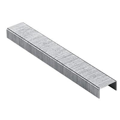 Abrasif pour Ponceuse Bosch Accessoires - Set 1000 Agrafes 4Mm Type 53