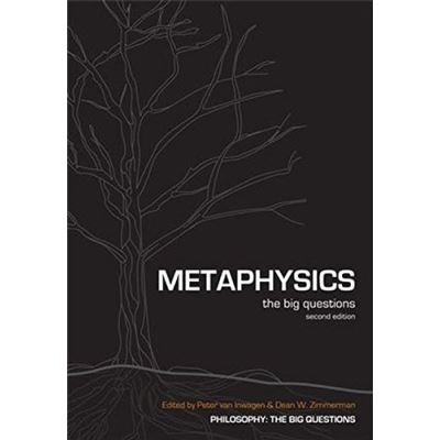 Metaphysics, Philosophy: The Big Questions