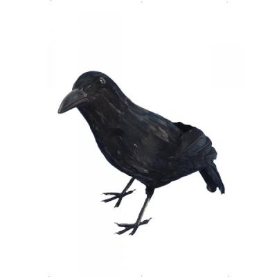 Corbeau terrifiant