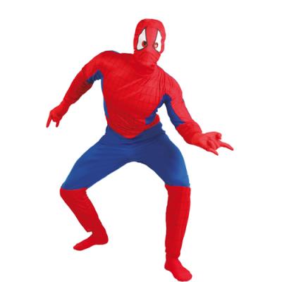 Deguisement Homme Araignee Adulte