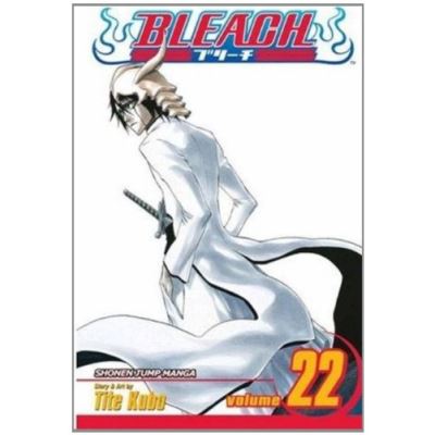 Bleach 22, Bleach (Graphic Novels)