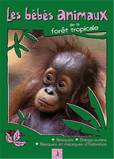 Les Bébés animaux des forêts tropicales