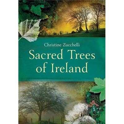 Sacred Trees Of Ireland (Paperback)