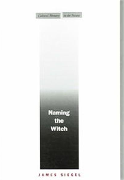 Naming The Witch, Cultural Memory in the Present Series