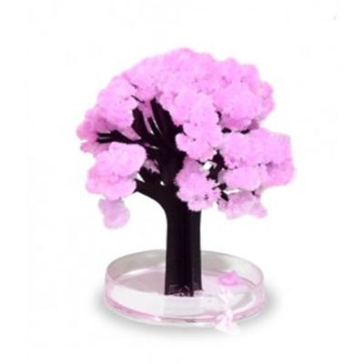 Bonsaï en pot Magic Sakura